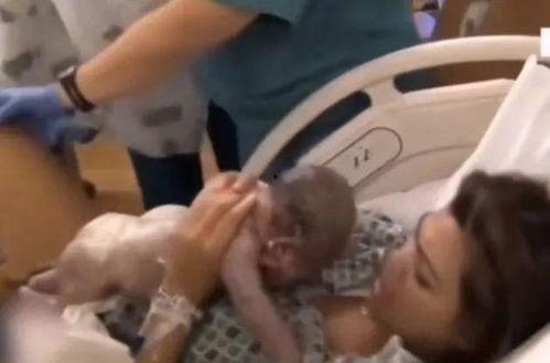 宝贝硬核吃瓜,揭秘娱乐圈幕后真相