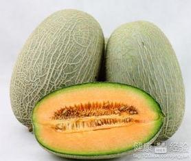 贡瓜是哈密瓜吗怎么吃,美味同源，食法各异