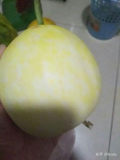 吃白皮瓜拉肚子