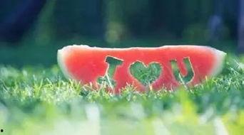 经典吃瓜语录,娱乐圈风云再起，揭秘幕后真相