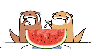 吃瓜不打烊吃瓜网址,揭秘热门吃瓜网址背后的故事