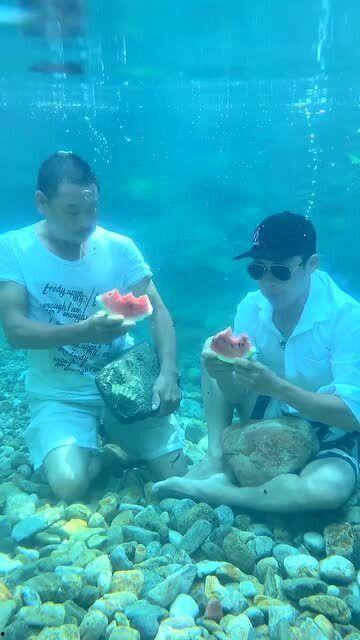 水下吃瓜,水下吃瓜的奇妙体验