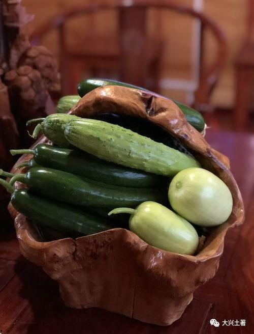 网红吃绿色瓜,吃出健康新风尚