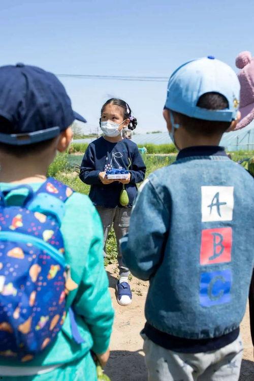 吃瓜师傅带徒弟,徒弟如何成长为瓜界高手