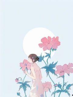 吃瓜摆烂合集小说,小说中的欢乐与人生百态