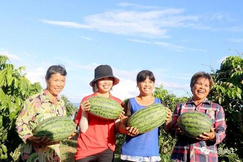 吃瓜也扶贫,趣味公益新风尚