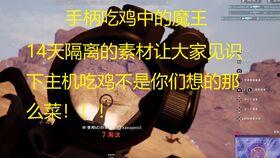 呆瓜吃鸡游戏,欢乐竞技场，萌新玩家的逆袭之旅