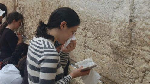 娱乐吃瓜君小麦