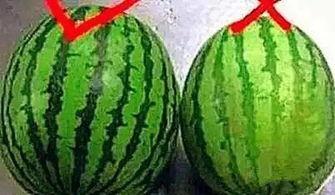 吃瓜怎么挑水果,如何挑选新鲜美味的水果