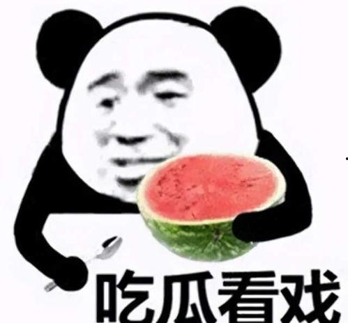 比吃瓜,比吃瓜更精彩的夏日故事