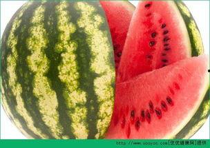 吃瓜爆料每日大瓜讲述,吃瓜爆料每日大瓜精彩回顾