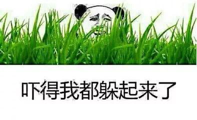 吃瓜遭殃了小说