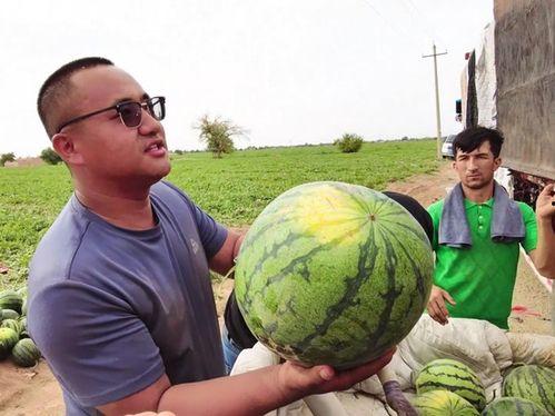 舟舟吃瓜回放,揭秘娱乐圈幕后故事